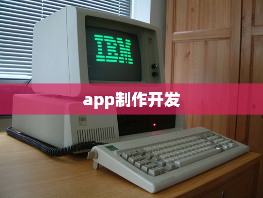 app制作开发