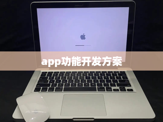 app功能开发方案