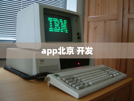 app北京 开发