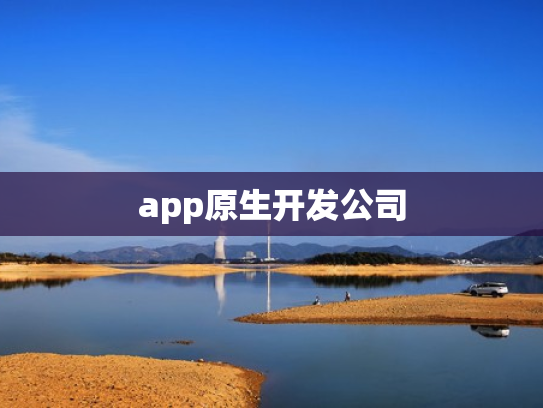 app原生开发公司
