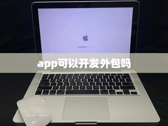 app可以开发外包吗