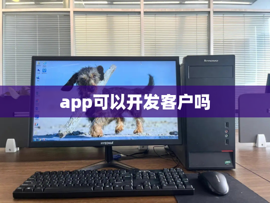 app可以开发客户吗