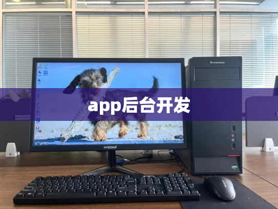 app后台开发