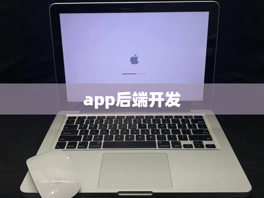 app后端开发