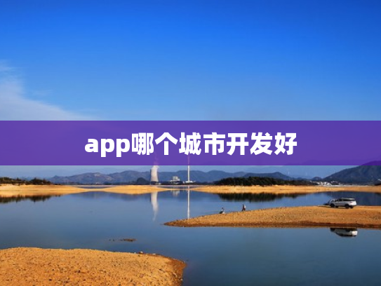 app哪个城市开发好