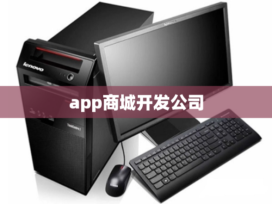 app商城开发公司