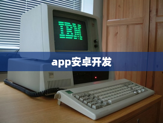 app安卓开发