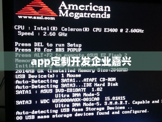 app定制开发企业嘉兴