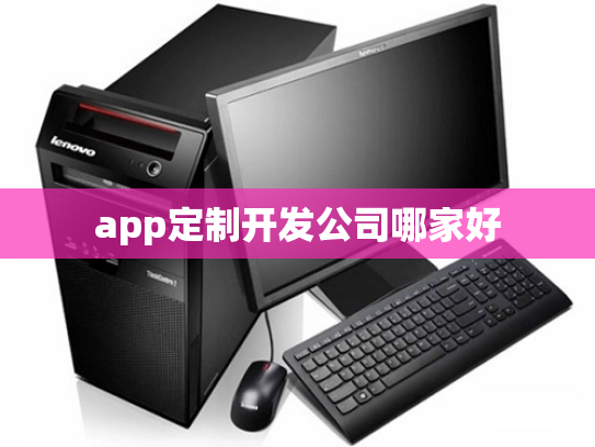 app定制开发公司哪家好