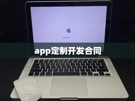 app定制开发合同