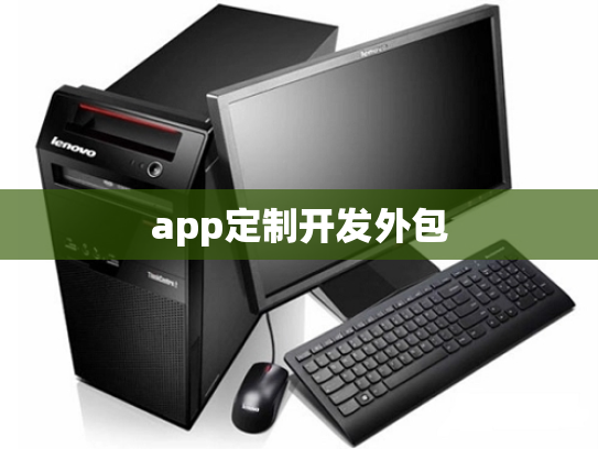 app定制开发外包