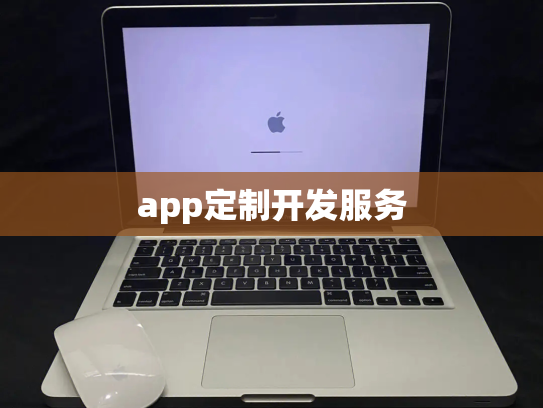 app定制开发服务