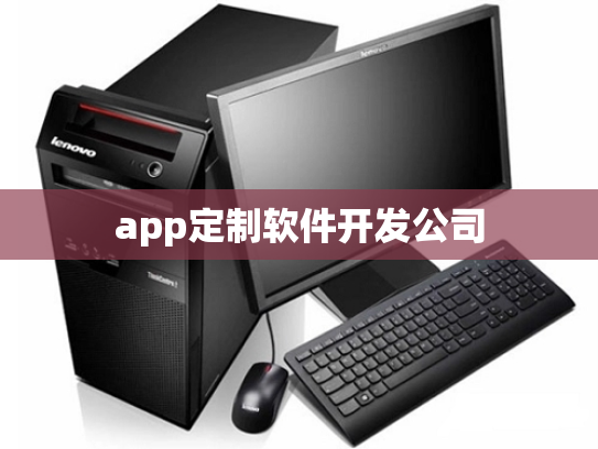 app定制软件开发公司