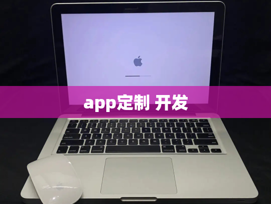 app定制 开发