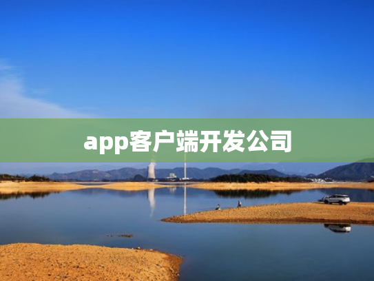 app客户端开发公司