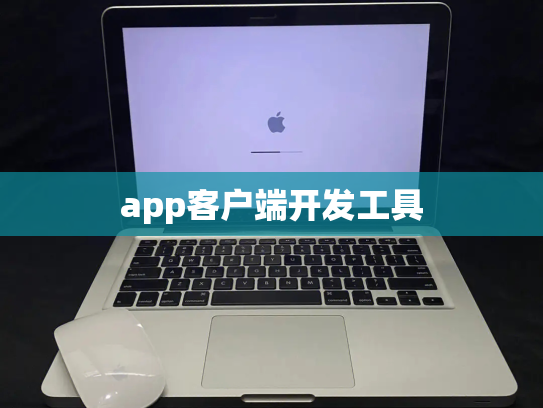 app客户端开发工具