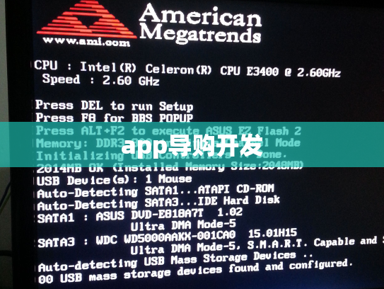 app导购开发