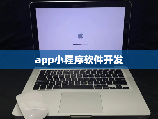 app小程序软件开发