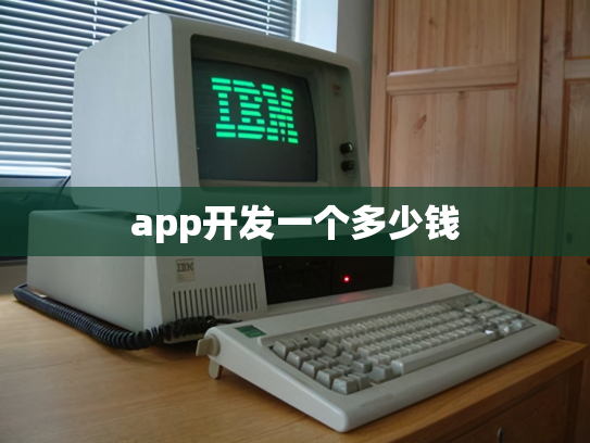 app开发一个多少钱