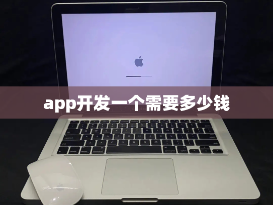 app开发一个需要多少钱