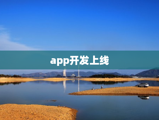 app开发上线