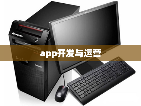 app开发与运营