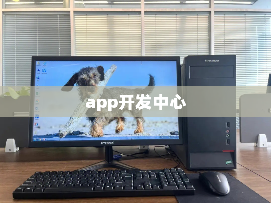 app开发中心