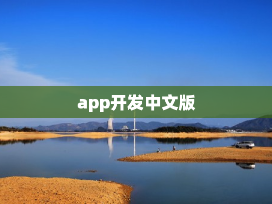 app开发中文版