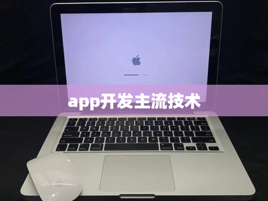 app开发主流技术