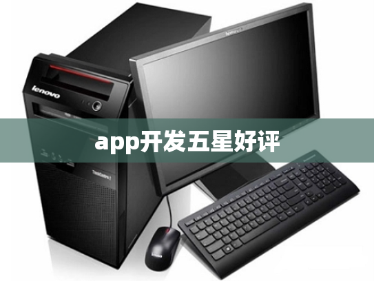 app开发五星好评