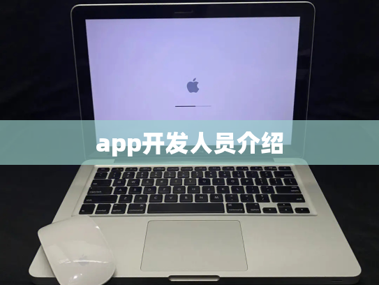 app开发人员介绍