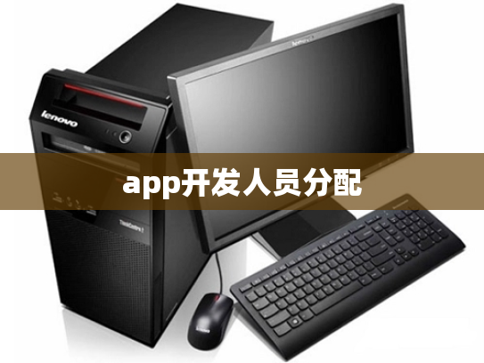 app开发人员分配