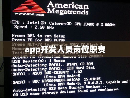app开发人员岗位职责