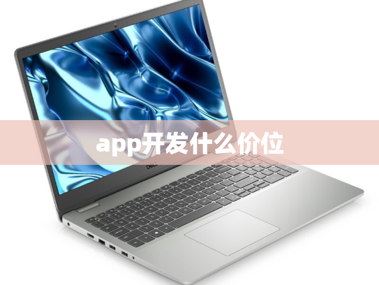app开发什么价位