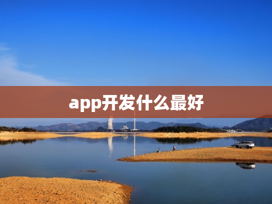 app开发什么最好