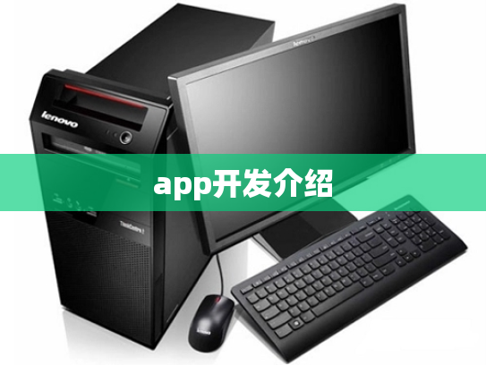app开发介绍