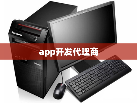 app开发代理商