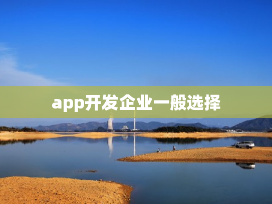app开发企业一般选择
