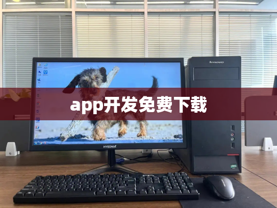 app开发免费下载