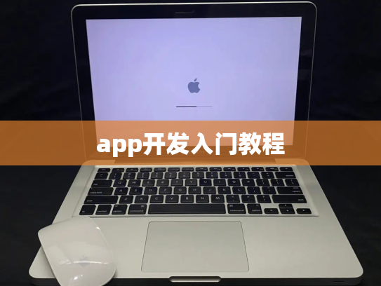 app开发入门教程