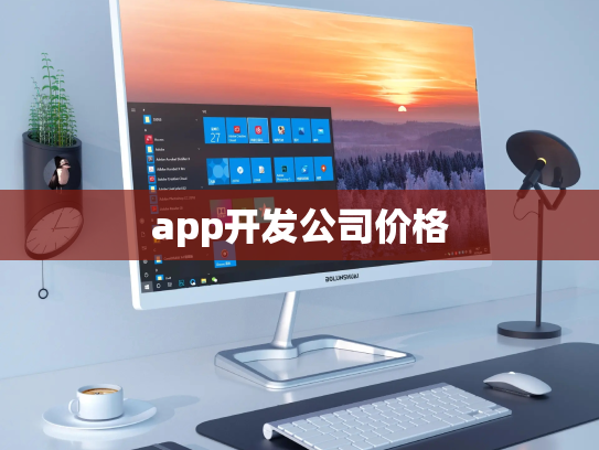 app开发公司价格