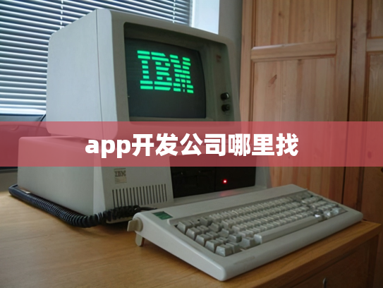 app开发公司哪里找