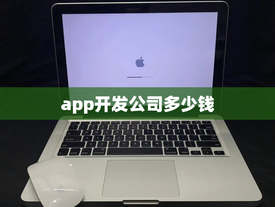 app开发公司多少钱