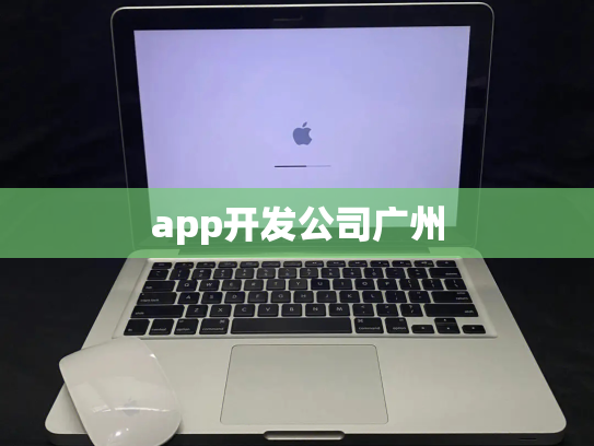app开发公司广州