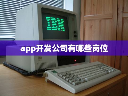 app开发公司有哪些岗位