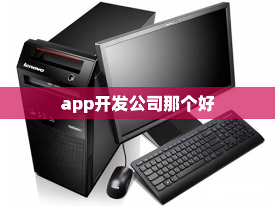 app开发公司那个好