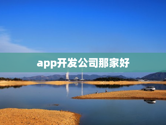 app开发公司那家好