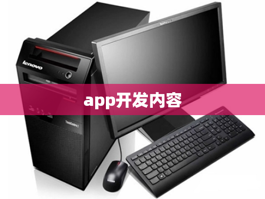 app开发内容