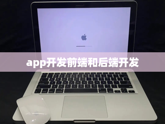app开发前端和后端开发
