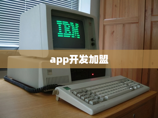 app开发加盟